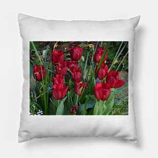 Red Tulips Pillow