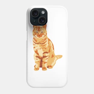 Ginger Cat Phone Case