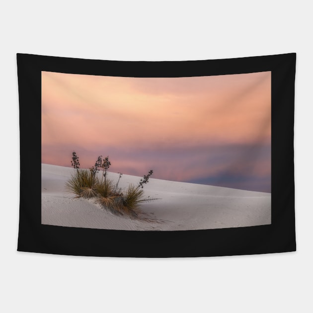 White Sand Sunset Tapestry by jvnimages