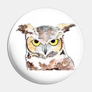 Owl - night owls with sharp eyes and ears Pin