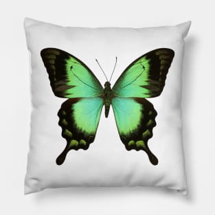 Green Butterfly Pillow