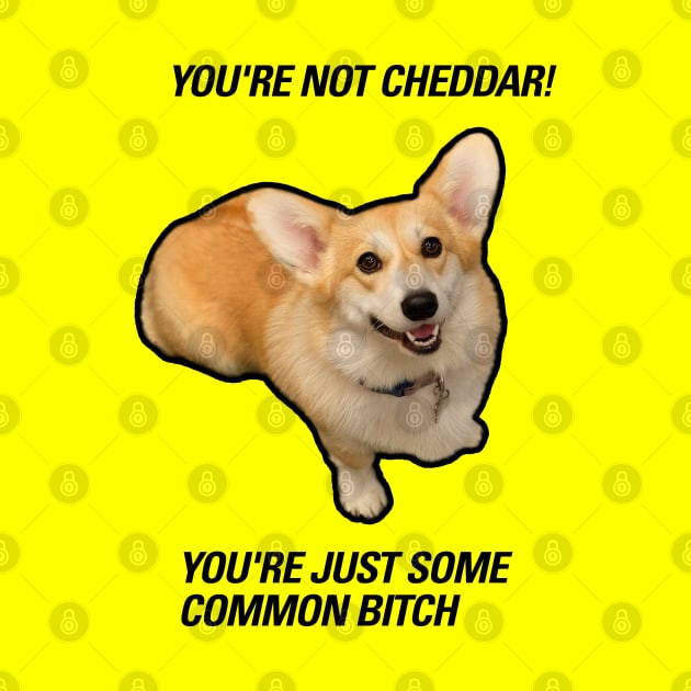 Cheddar  |  Brooklyn 99 by cats_foods_tvshows