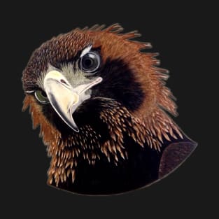 Wedge-tailed Eagle T-Shirt