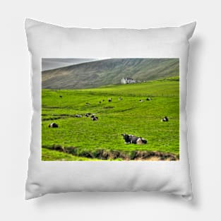 Shetland Scene with cows Pillow