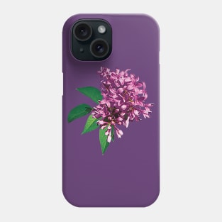 Lilacs - Pink Lilac Clusters Phone Case