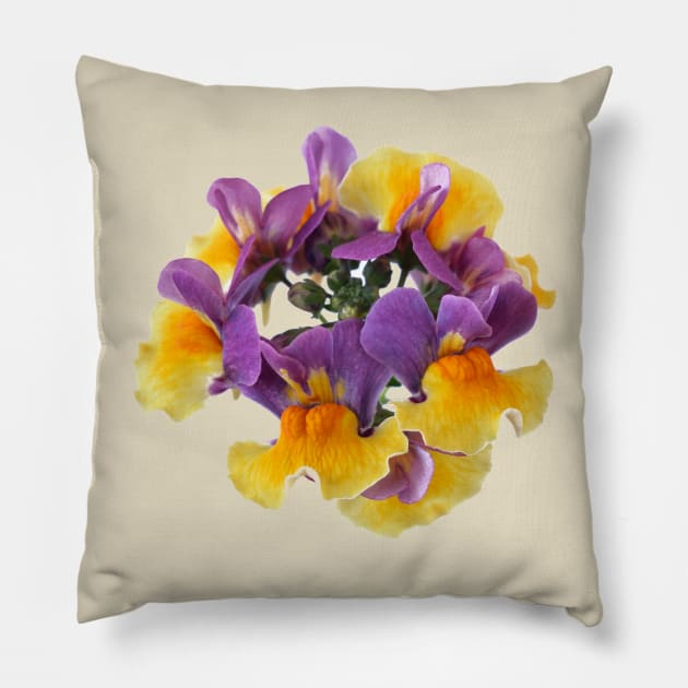 Nemesia Aroma Rhubarb & Custard Aroma Series Pillow by chrisburrows