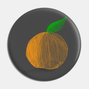 Orange you glad Pin