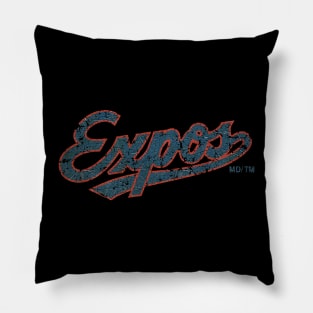 Expos VINTAGE Pillow