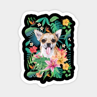 Tropical Short Haired Fawn and White Chihuahua Magnet