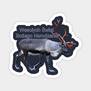 Wesołych Świąt Bożego Narodzenia Magnet