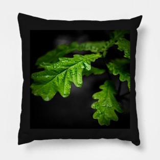 Raindrops On Oak Leaves Pillow