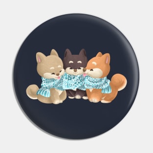 Trio Shiba Dog Sharing a Scarf Pin