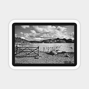 Crow Park Shoreline Monochrome Magnet