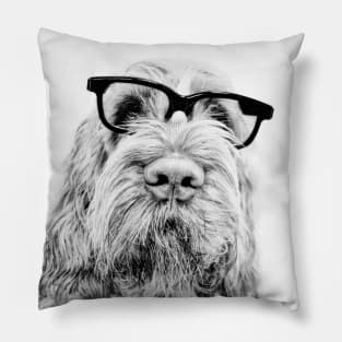 Intelligent friend Spinone by heidiannemorris Pillow
