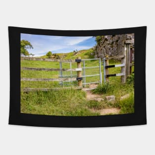 Welsh Coastal Path, Gower, South Wales. One of the many metal gates to fence in livestock grazing along the coastal path Tapestry