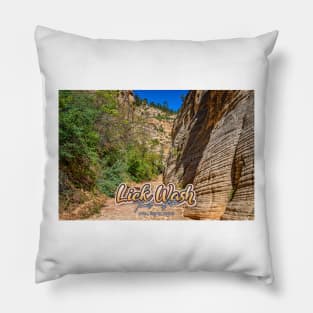 Lick Wash Trail Hike Pillow