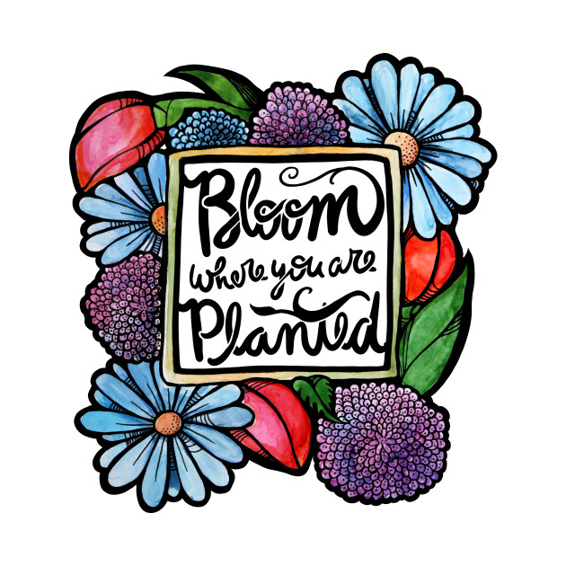 Bloom where you are planted Bloom Where You Are Planted