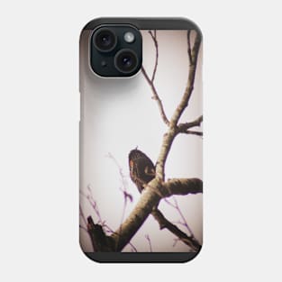 male red winged black bird in a tree Phone Case