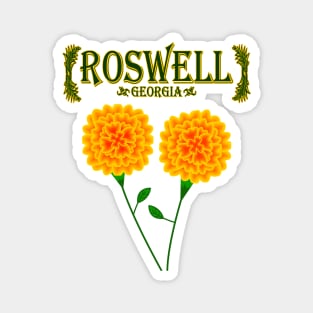 Roswell Magnet