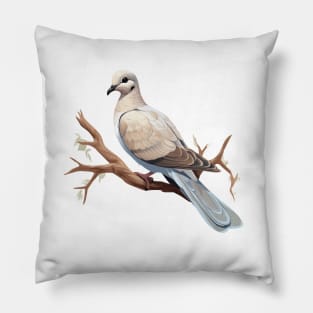 Collared Dove Pillow