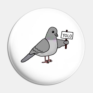 The YOLO Pigeon Pin