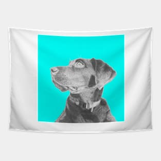 Black Labrador Retriever in Blue Headshot Tapestry