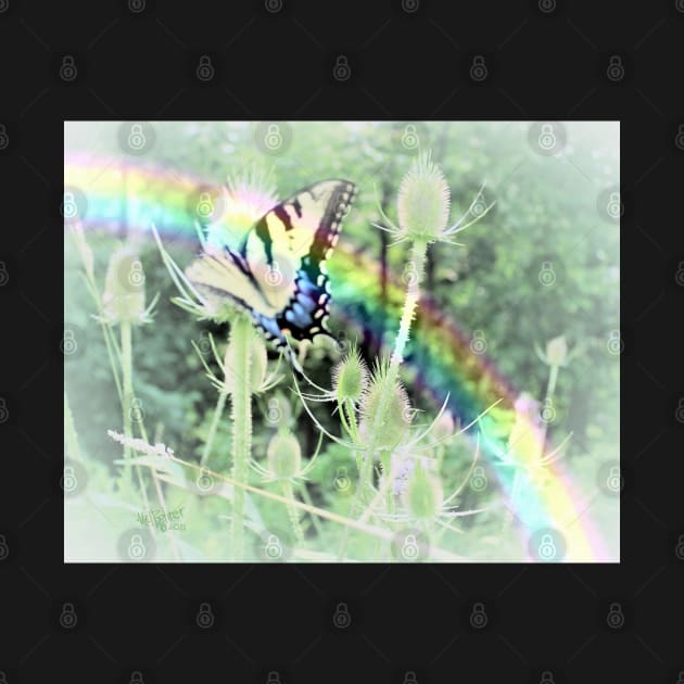 Swallowtail and Rainbow by Mzzart