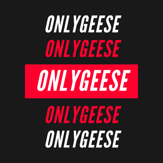 OnlyGeese Streetwear Style by OnlyGeeses