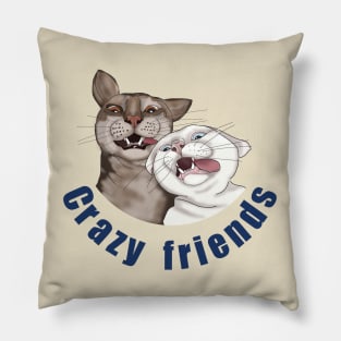 Crazy friends Crazy cats Real friends Funny cats Pillow