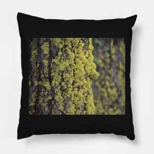 Lichen It! Pillow