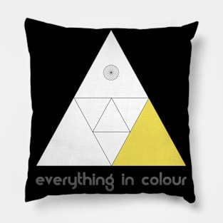 Everything In Colour Pillow