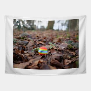 Pride Rainbow Colours LGBT ball Tapestry