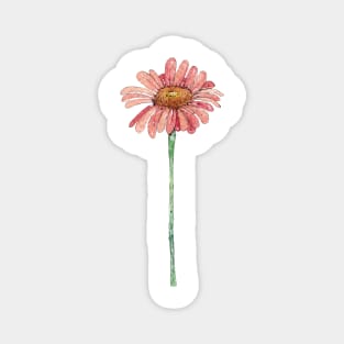 Watercolor Daisy Magnet