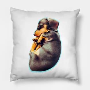 Puppy power - Cava Pillow