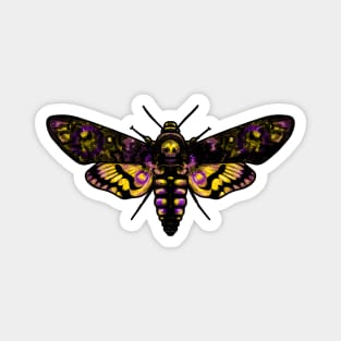 Intersex Moth Magnet