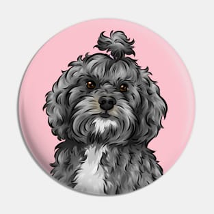 Cute Lhasapoo Dog | Lhasa Apso and Poodle Cross Pin