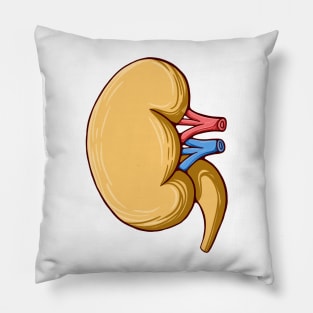 The kidneys Pillow
