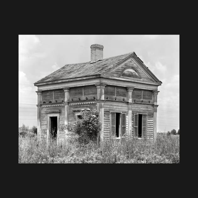 Southern Gothic Ruins, 1938. Vintage Photo by historyphoto