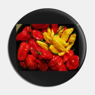 Red and Yellow Peppers Pin