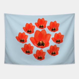 Red tulip Tapestry