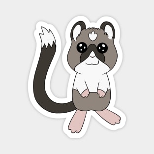 Cocoa Magnet