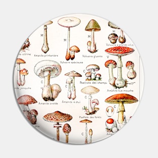 A variety of mushroom species Pin