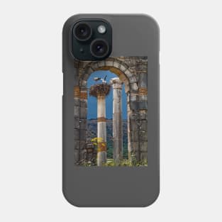 Morocco. Volubilis. Storks in the nest. Phone Case