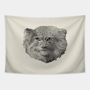 Manul-Pallas's cat Tapestry