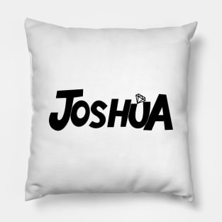 NANA tour with Seventeen: Joshua Pillow