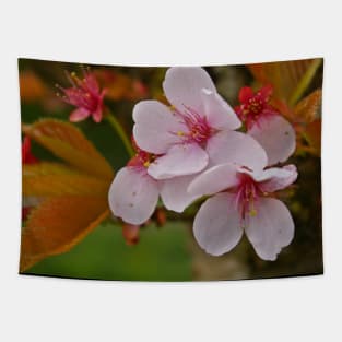 Pink Blossom Trio Tapestry