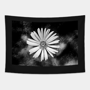 Single Celmisia Hookeri white flower marble Tapestry