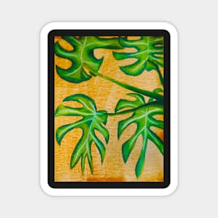 Monstera Leaf Study Magnet