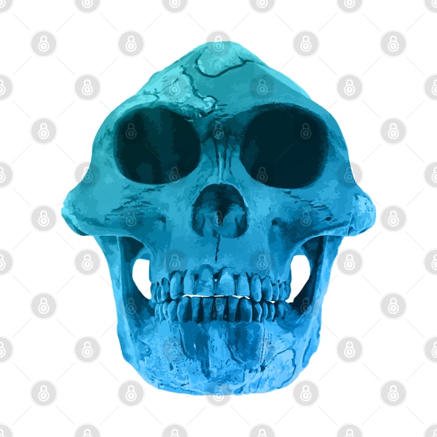 Australopithecus Afarensis "Lucy" Fossil Skull by RetroGeek