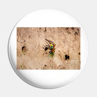 European bee-eater (Merops apiaster) Pin